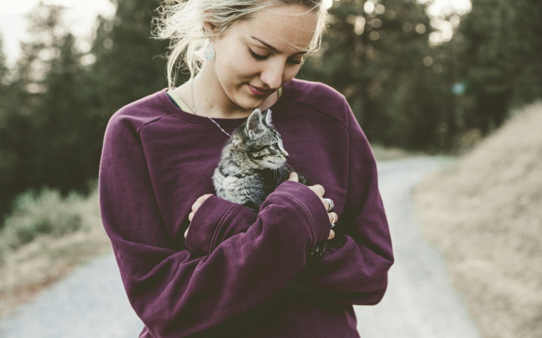 The Myths and Realities of Adopting Pets: Debunking Common Misconceptions
