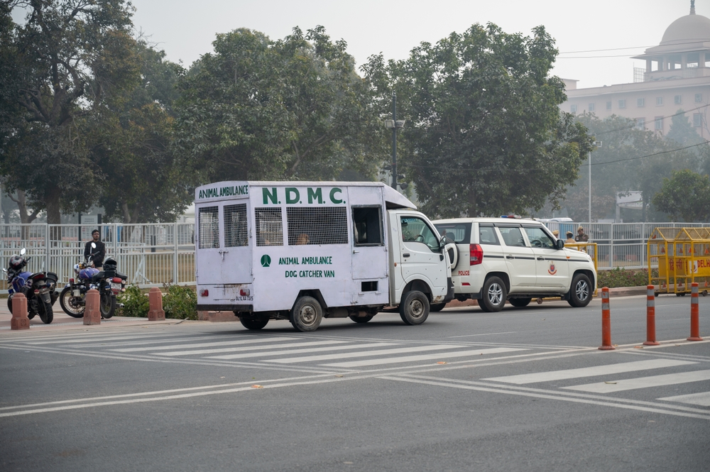 The ₹15,000 Crore Mistake: Why Sheltering Delhi’s Stray Dogs Will Fail